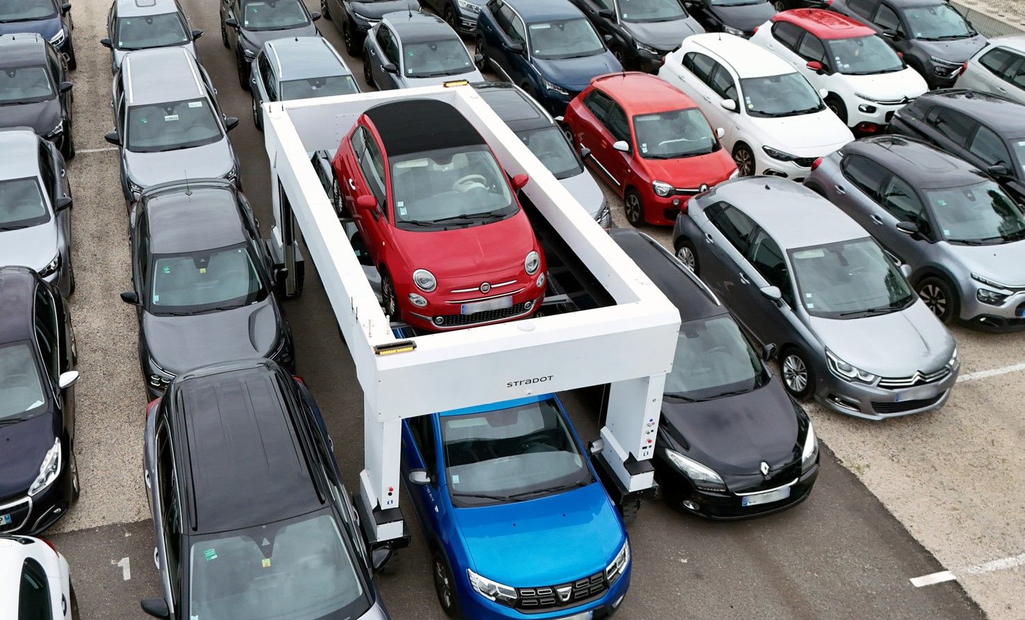 Ceva partenaire de Stradot. ©Ceva